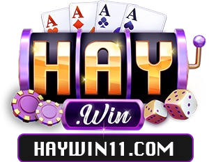 haywin11.com