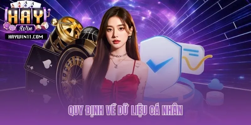 Chính sách bảo mật làm rõ quy định về dữ liệu cá nhân